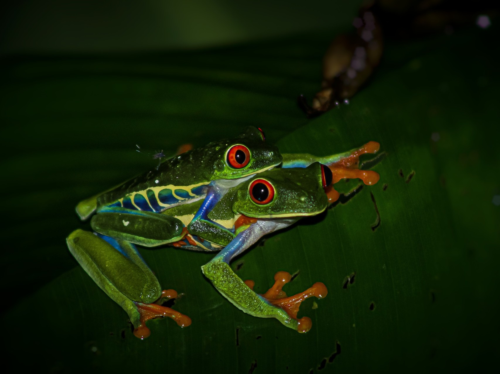 Copy of 20200705192123_IMG_3240-01