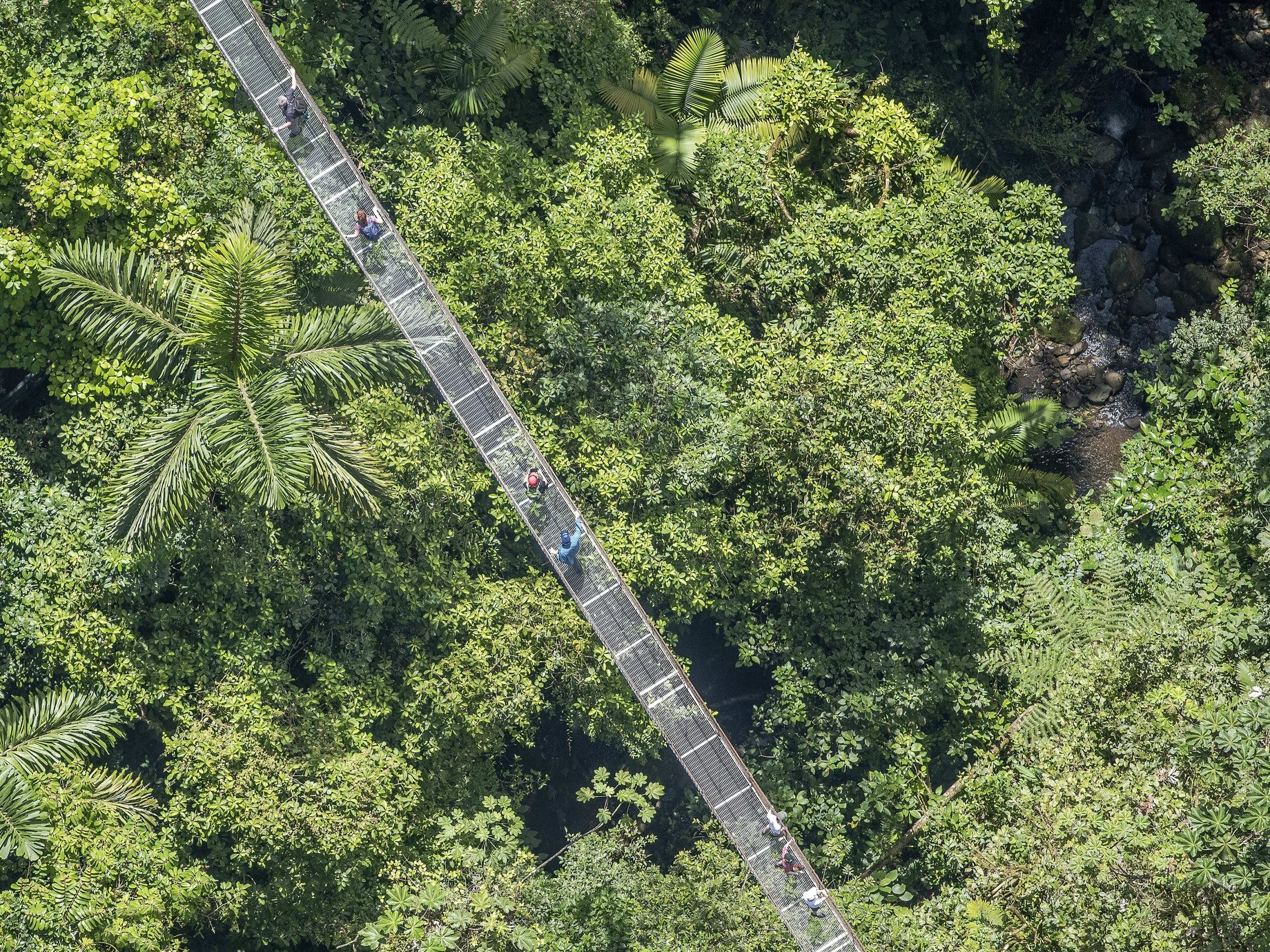 MisticoDSC_9083-GP_1 (1)